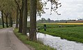 A street in Zuidermeer