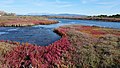 Partial view of Prokopos Lagoon.