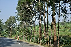 Rwanda, roadside impressions along Road 3 between Kigali and Gitarama