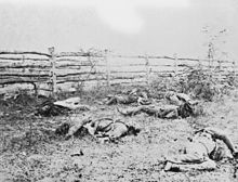 Black and white photo of dead Confederate soldiers lying near a rail fence.