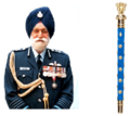 Marshal of the IAF's baton