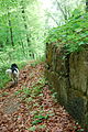 Dog and Murus Dacicus in Sarmizegetusa Regia