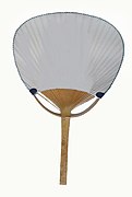 Japanese rigid fan (uchiwa [ja])