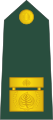 Brigadir (Slovenian Ground Force)[7]