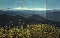 1962-05 1962年 峨眉山