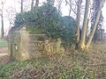 Overgrown World War II bunker