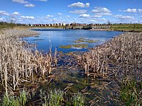 The balancing pond at Trumpington Meadows in April 2021
