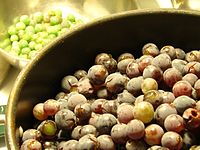 Ripe grapes (foreground) and unripe grapes (background). Unripe grapes can be made into verjuice.