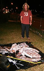 #634 (17/5/2015) Remains of a giant squid gaffed from the surface off Wollongong, New South Wales, Australia, on 17 May 2015. The specimen was collected by Ryan Field (pictured) and Ben Allaham. It is shown here alongside a "typical" squid for size comparison.
