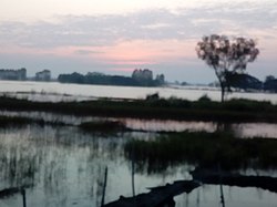 A rice field scenery in Bang Rakam