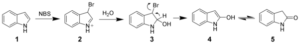 Oxidation of indole by N-bromosuccinimide