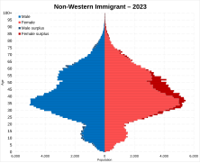 Non-Western immigrant