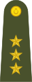 Yüzbaşı Turkish Army