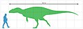 Size diagram of Veterupristisaurus milneri