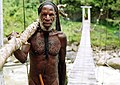 Image 18Yali tribesman in the Baliem Valley (from New Guinea)