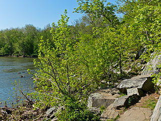 View of Potomac river from B trail