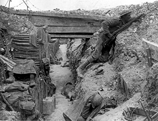 Cheshire Regiment during the Battle of the Somme, July 1916