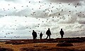 HMS Cardiff sailors, Pebble Island 1982