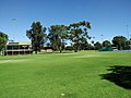 Goodwood Oval