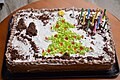 圣诞节蛋糕摄影-食物摄影