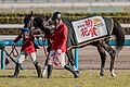 於 2023年10月23日 (一) 14:05 版本的縮圖