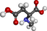 Ball and stick model of N-methyl-D-aspartic acid