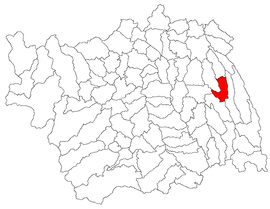 Location in Bacău County