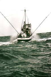 太平洋上的金枪鱼拖钓船