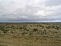 The Patagonian steppe near Fitz Roy, Argentina.
