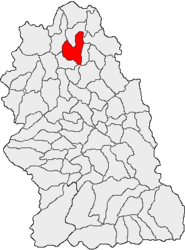 Location in Hunedoara County