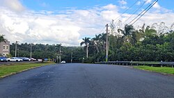 Puerto Rico Highway 455 in Quebrada