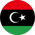 自由利比亚空军国籍标志