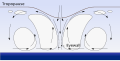 Image 13Tropical cyclones form when the energy released by the condensation of moisture in rising air causes a positive feedback loop over warm ocean waters. (from Cyclone)