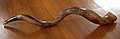 Image 9A kudu horn (from Wood Badge)