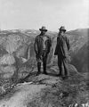 Image 8Roosevelt and Muir on Glacier Point in Yosemite National Park (from Conservation biology)