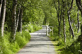 Nature path near Prestvannet