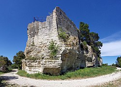 圣罗芒修道院（法语：Abbaye de Saint-Roman）遗址