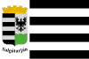 Flag of Salgótarján