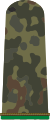 Panzergrenadier FA (Army sergeant aspirant, Panzer Grenadier Corps, field uniform)