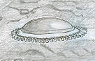 An etching of Kimberella