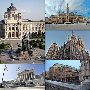 从左至右，从上至下：艺术史博物馆、维也纳市政厅、圣斯德望主教座堂、维也纳国家歌剧院和奥地利议会大厦