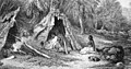 Image 46Indigenous Australian camp by Skinner Prout, 1876 (from History of agriculture)