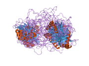 1z87: solution structure of the split PH-PDZ Supramodule of alpha-Syntrophin