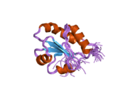 2diz: The solution structure of the third thioredoxin domain of human Thioredoxin domain-containing protein 5