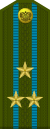 Colonel