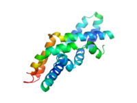 Saposin C dimer in an open conformation (PDB: 2QYP​).[13]