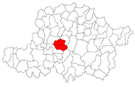 Location in Arad County