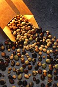 Varieties of soybeans are used for many purposes