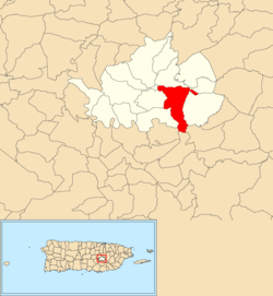 Location of Arenas within the municipality of Cidra shown in red