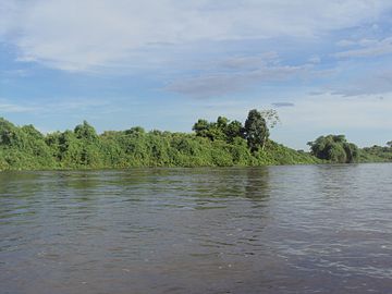 Cuiabá River, below Corumbá in Mato Grosso, southern Brazil